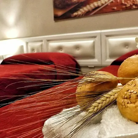 Paneamore * Matera